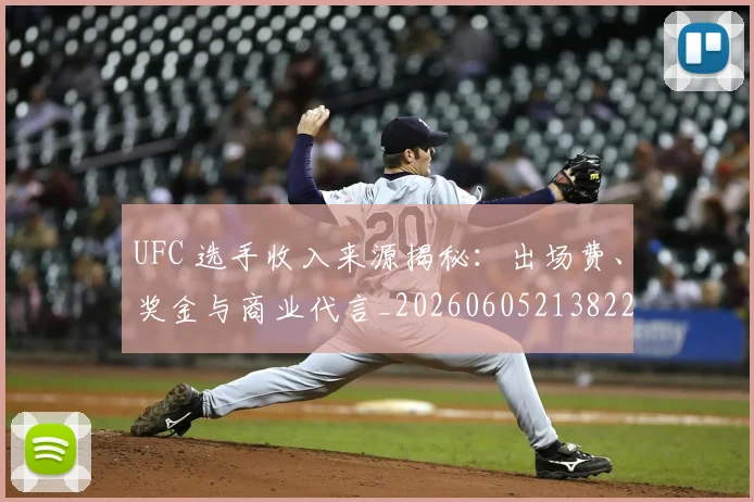 UFC 选手收入来源揭秘：出场费、奖金与商业代言_20260605213822