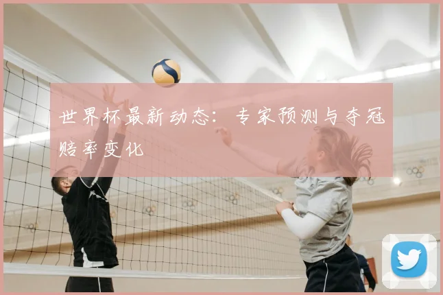 世界杯最新动态：专家预测与夺冠赔率变化