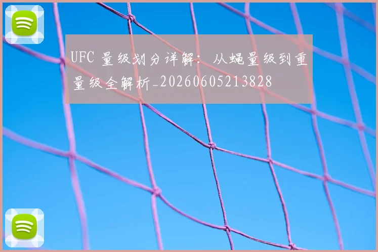 UFC 量级划分详解：从蝇量级到重量级全解析_20260605213828